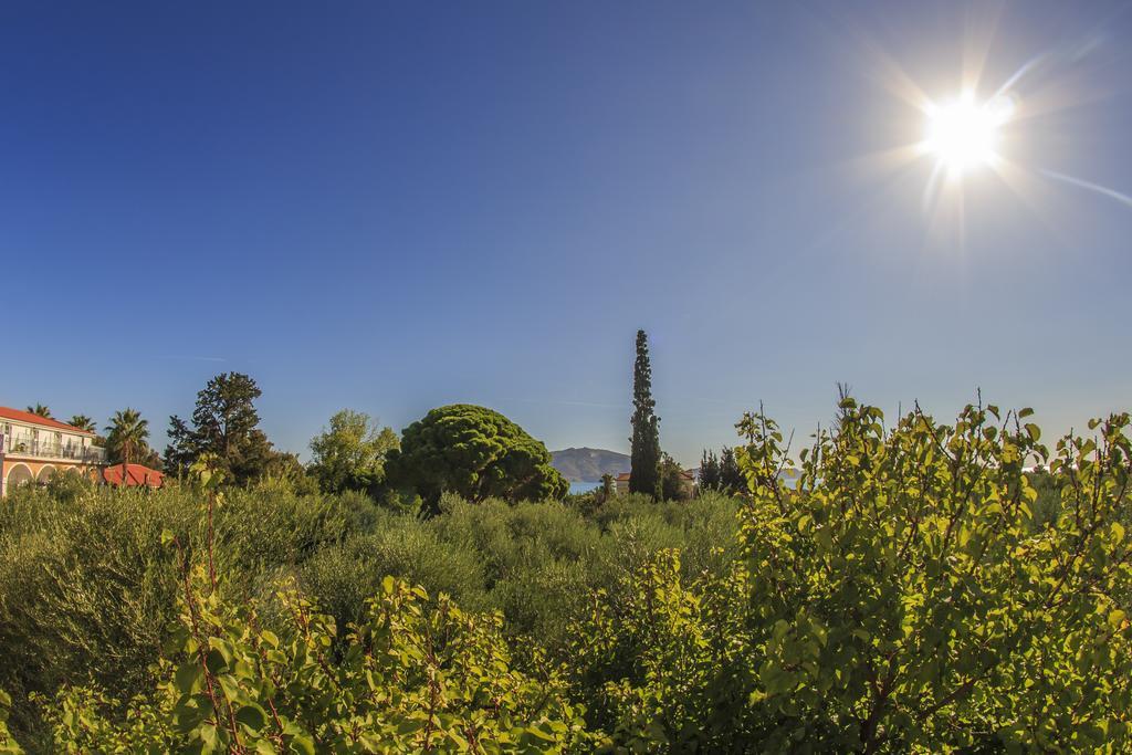 Apartamento Olive Grove Apts Lithakia  Habitación foto