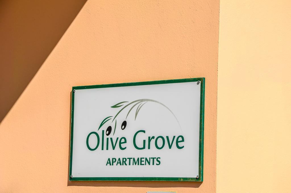 Apartamento Olive Grove Apts Lithakia  Exterior foto